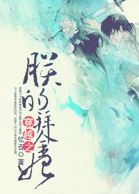 穿越之朕的拜金妃封面