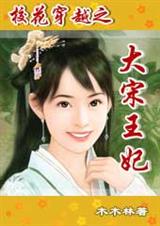 校花穿越之大宋王妃封面