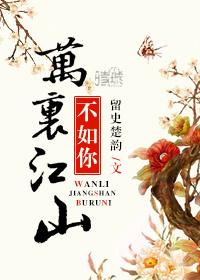 万里江山不如你封面