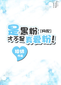 是黑粉才不是真爱粉!封面