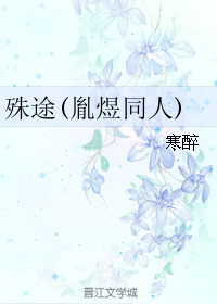 (历史同人)殊途(胤煜同人)封面