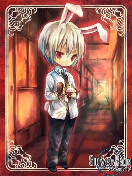 胆小兔子的爱情故事封面