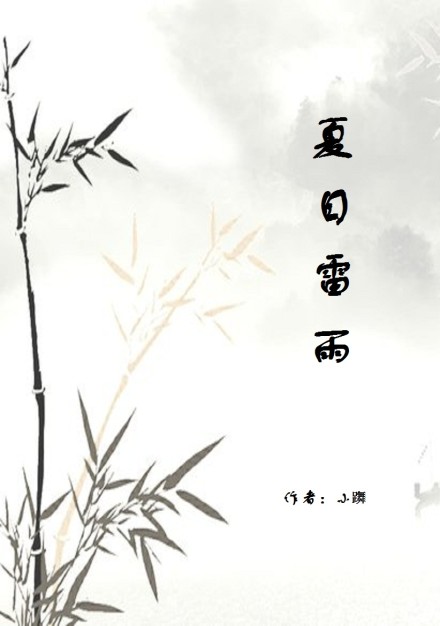 夏日雷雨封面