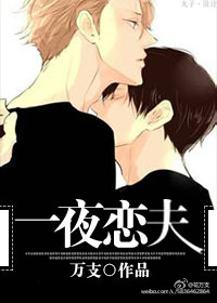 一夜恋夫封面