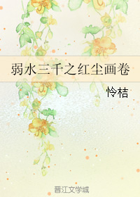 弱水三千之红尘画卷封面
