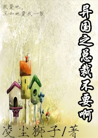 异国之总裁不要啊(gl)封面