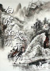 白虎堂前武开阳封面