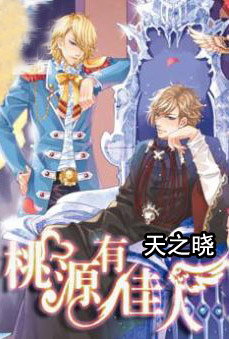 桃源有佳人封面