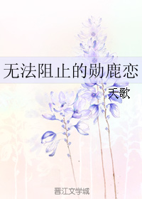 (韩娱同人)无法阻止的勋鹿恋封面