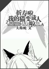 折寿啦我的猫变成人啦!封面