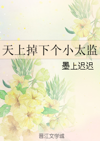 天上掉下个小太监 天上掉下个小太监