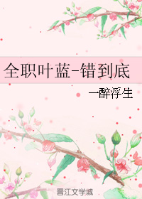 (全职同人)全职叶蓝-错到底封面