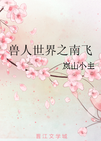 兽人世界之南飞封面