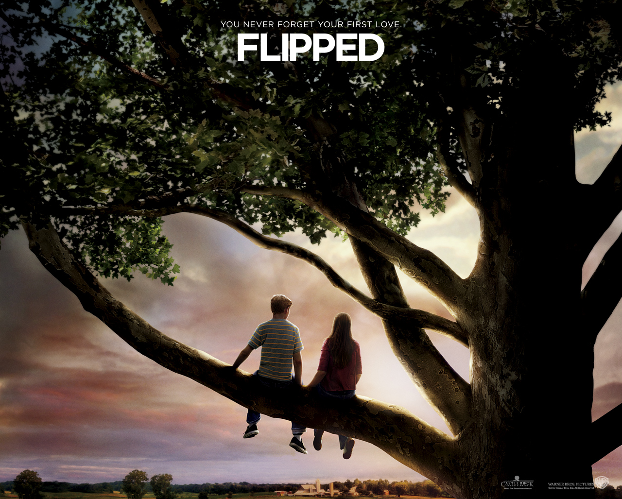 flipped(英文版) flipped(英文版)
