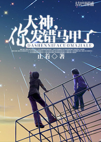 大神,你发错马甲了!封面