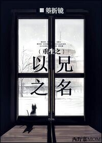 重生之以兄之名封面