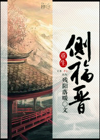 重生侧福晋作者:残阳落暖封面