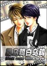 黑乌鸦白乌鸦(耽美)封面