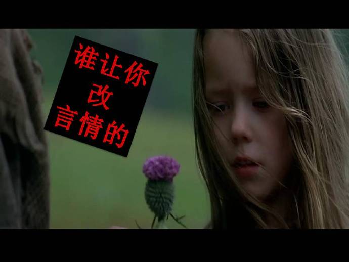 谁让你改言情的封面