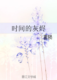 时间的灰烬封面