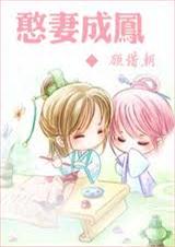 憨妻成凤封面