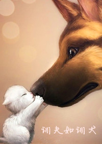 训夫如训犬 训夫如训犬