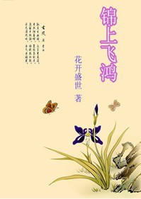 锦上飞鸿 锦上飞鸿