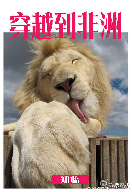 穿越到非洲 穿越到非洲