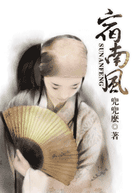 宿南风封面