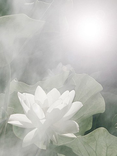 ˮī�໨����