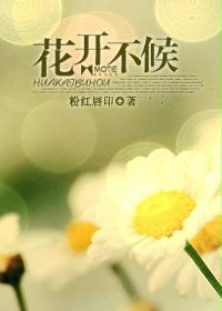 花开不候封面