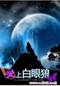 爱上白眼狼 爱上白眼狼