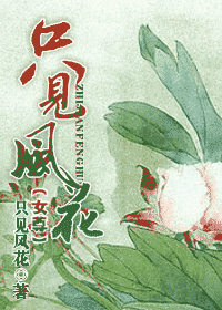 只见风花 只见风花