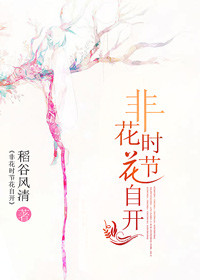 非花时节花自开封面