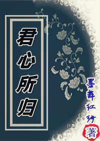 君心所归封面