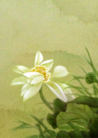 Զ������