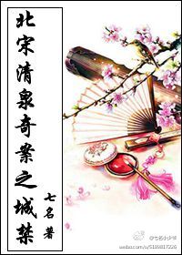 北宋·清泉奇案之城禁封面