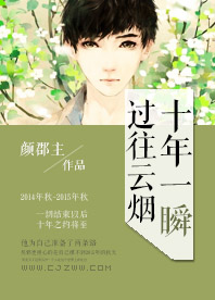 十年一瞬过往云烟封面