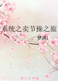 系统之卖节操之旅封面
