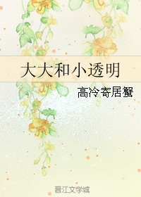 大大和小透明 大大和小透明