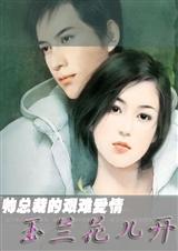 玉兰花儿开封面