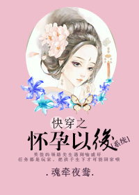 �촩֮�����Ժ�(ϵͳ)