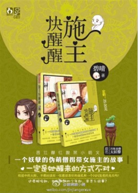 施主快醒醒封面