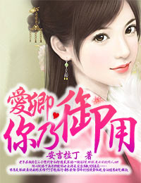 爱卿,你乃御用封面