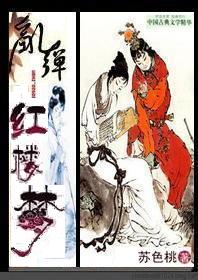 乱弹红楼梦封面