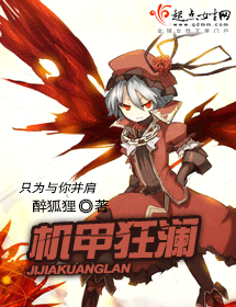 机甲狂澜 机甲狂澜