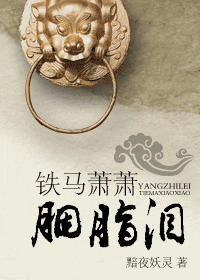 铁马萧萧胭脂泪封面