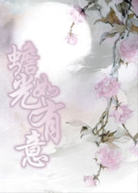 蟾光如有意封面