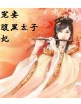宠妻:腹黑太子妃 宠妻:腹黑太子妃