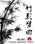 竹影梦回 竹影梦回